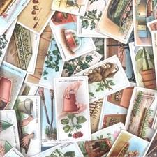 Wills cigarette cards for sale  HORLEY
