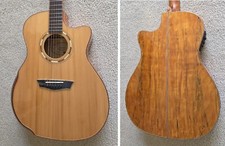 Washburn comfort g66sce for sale  Indianapolis