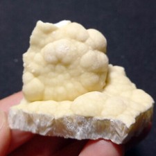 D62 rara insolita usato  Italia