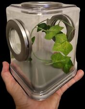 Jumping spider enclosure for sale  ORMSKIRK
