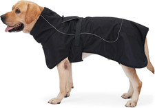 Giacca per cani usato Giacca per cani usato  Roma