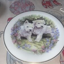 Westie plate for sale  TAVISTOCK