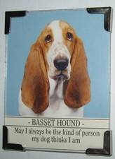 Bassett hound fridge for sale  Scottsdale