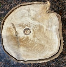 English walnut round for sale  Camas