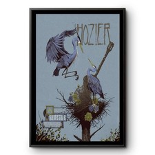 Hot hozier show for sale  Conroe
