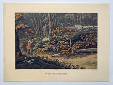 Rare vintage woodcock for sale  STOURPORT-ON-SEVERN