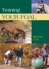 Training foal schooling for sale  Montgomery