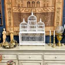Antique victorian bird for sale  BARTON-UPON-HUMBER