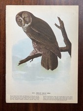 Vintage 1940 audubon for sale  Port Orchard