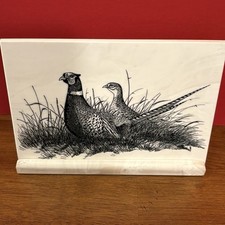 Pheasant etching cultured for sale  Louisville