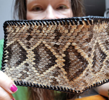 Eastern rattlesnake skin for sale  Silver Springs