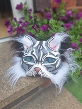 Shaniqa cat therian for sale  TIPTON