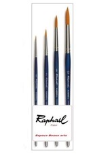 Pinceau raphael série d'occasion  Lyon I