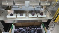E2004 entsteinmaschine zwetsch gebraucht kaufen  Ebersbach an der Fils