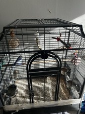 Vogelkäfig zubehör transport gebraucht kaufen  Hamburg