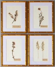 Custom framed antique for sale  Pearland