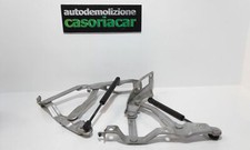 Cerniere cofano anteriore usato  Italia