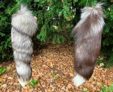 Schöner fuchsschwanz fuchssch gebraucht kaufen  Balge