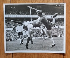 Tottenham spurs sheffield for sale  HATFIELD