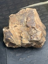 Large red oak for sale  White Salmon