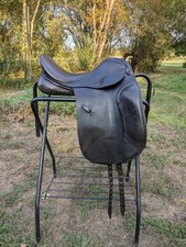 Black anky dressage for sale  Everett