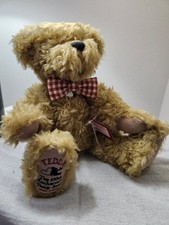 Teddy 100th anniversary for sale  New Berlin