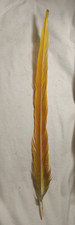 macaw tail feathers for sale macaw tail feathers for sale Manville