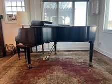 Rare steinway teague for sale  Delton