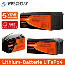 Lifepo4 12v 100ah gebraucht kaufen  Deutschland
