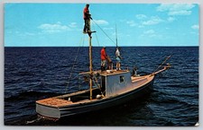Tuna fisherman man for sale  Harbor Beach