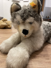 Steiff 104916 molly gebraucht kaufen  Winterbach