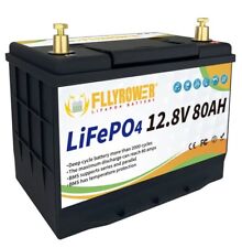 Flypower lithium batterie gebraucht kaufen  Mainz