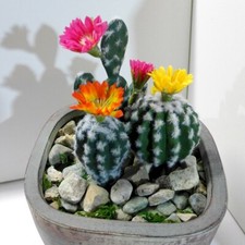 Pcs artificial plants for sale  Indianapolis