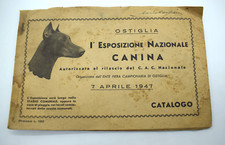 addestratore cinofilo usato addestratore cinofilo usato San Martino Buon Albergo