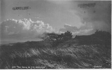 Postcard 507 home for sale  PETERBOROUGH