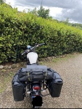 Triumph street scrambler usato  Ercolano