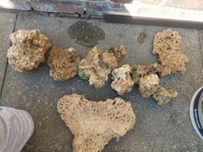 Live rock aquarium for sale  STOKE-ON-TRENT