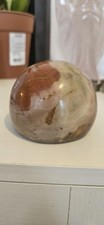 Petrified wood fossil for sale  MARKET RASEN