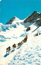 Schlitten schnee hundeschlitte gebraucht kaufen Schlitten schnee hundeschlitte gebraucht kaufen  Deutschland