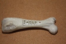 prehistoric pets for sale prehistoric pets for sale Morristown