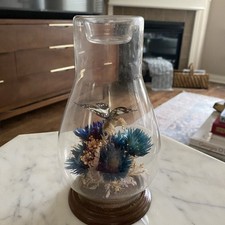 Vintage preserved real for sale  Stilwell