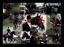 Usado, William Fox Pitt Britischer Reiter 2. Olympia 2004/2012 Original + A 242570 comprar usado  Enviando para Brazil