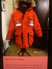 Canada goose usato  Moncalieri