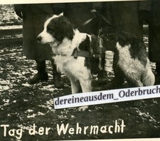 wehrmachts geschirr gebraucht kaufen  Letschin