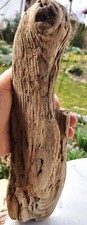 Schön geformtes treibholz gebraucht kaufen  Freilassing