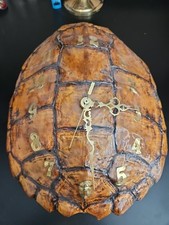 snapping turtle shell for sale  Oolitic