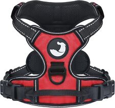 Reflective dog harness for sale  BRISTOL