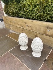 Garden ornamental artichoke for sale  NEWARK