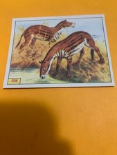 Figurina n.226 animali usato  Firenze
