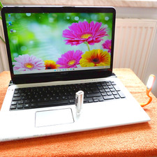 Sony vaio sve17 gebraucht kaufen  Oberweißbach/Thür. Wald